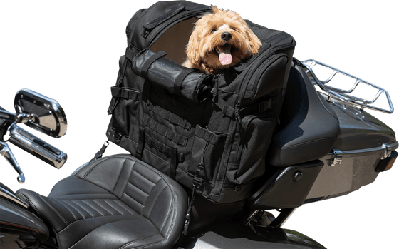 5723 KURYAKYN pet palace titan bag