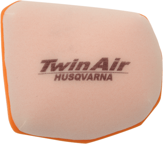 157100 TWIN AIR oro filtras