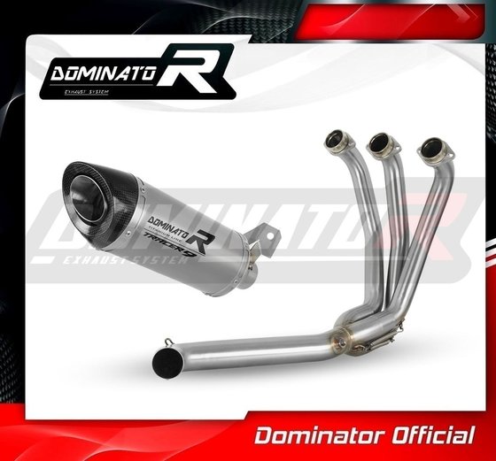 YA145DFT-S Dominator full exhaust system silencer titanium hp8