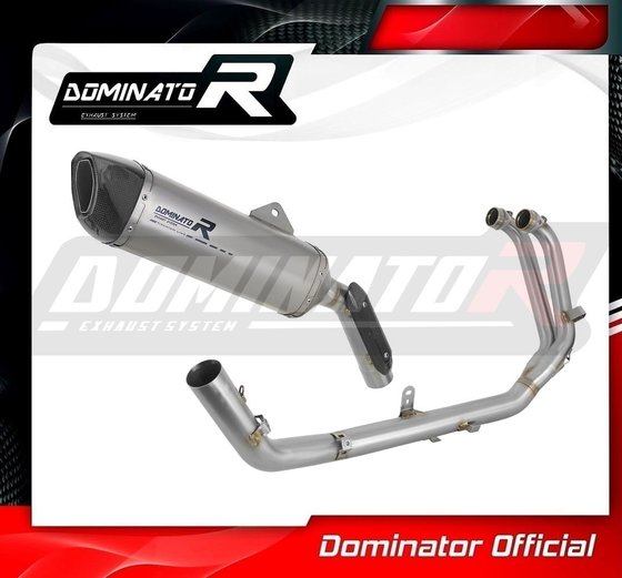 AP038DFT-S Dominator full exhaust system silencer titanium hp6