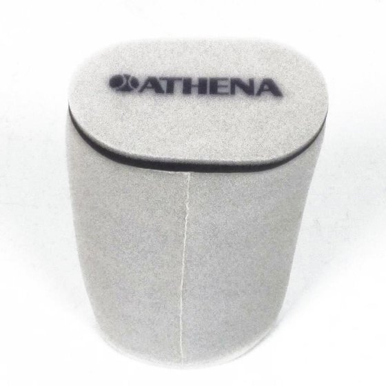 S410485200050 ATHENA oro filtras