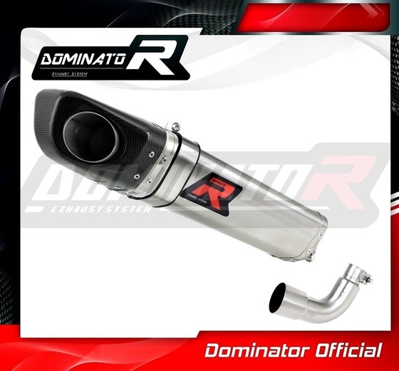 AP020DF-S Dominator exhaust silencer hp4