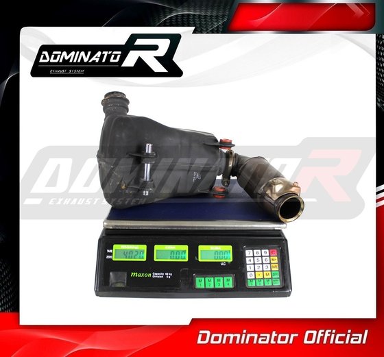 KT060D Dominator cat eliminator decat