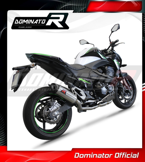 KA054DFFS-S Dominator full exhaust system silencer hp8