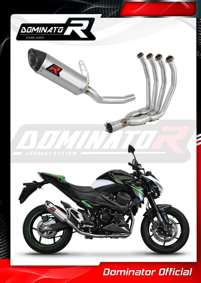 KA054DFFS-S Dominator full exhaust system silencer hp8