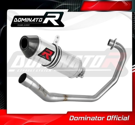 HO108DF-S Dominator full exhaust system silencer hp3