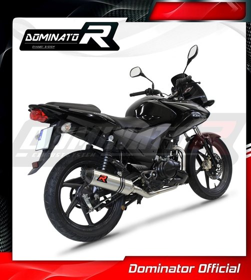 HO108DF-S Dominator full exhaust system silencer hp3