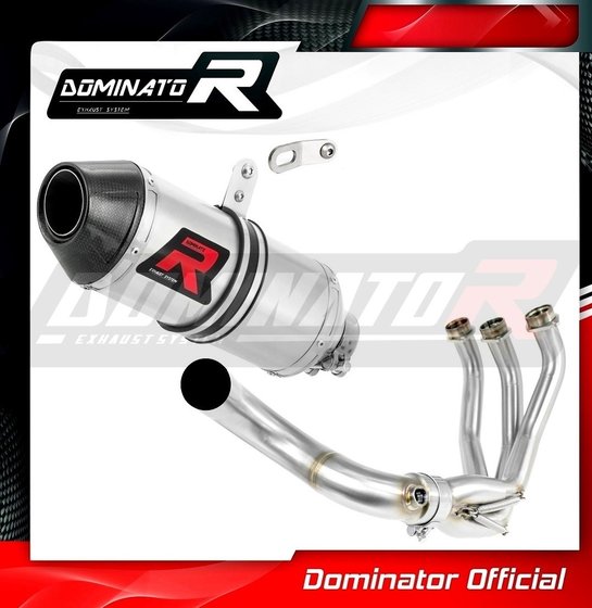 YA096D-S Dominator exhaust full system silencer hp3