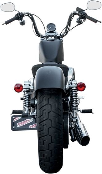 LPF114HV-B ACCUTRONIX valstybinio numerio ženklo šoninis laikiklis su žibintu harley davidson sportster