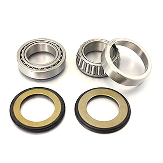 SBK30009 BEARING WORX rėmo galvutės guoliai su sandarikliais