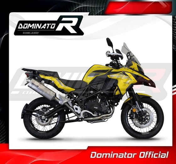 BE001DET-S Dominator full exhaust system silencer titanium p7