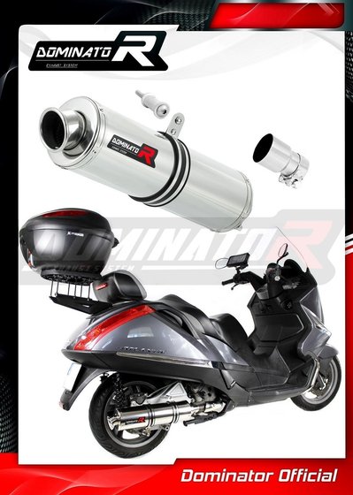 AP010DST-S Dominator exhaust silencer round