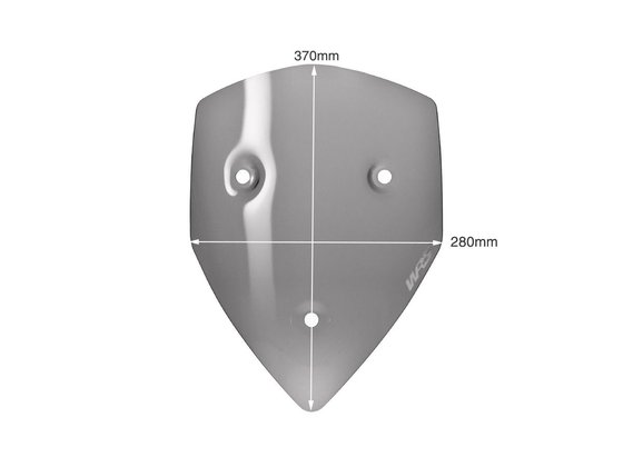 DU002FS WRS sportinis priekinis stiklas - dūmų