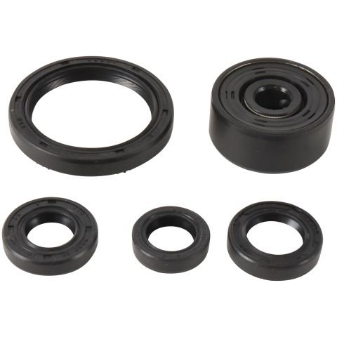 822377 WINDEROSA engine oil seal kit