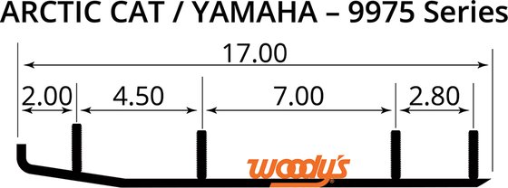 AA6-9975 WOODY'S karbidinis bėgikas "ace" 6" pagal užsakymą