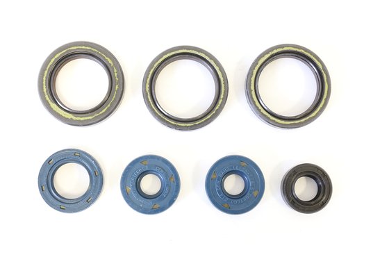 P400010400013 ATHENA engine oil seals kit