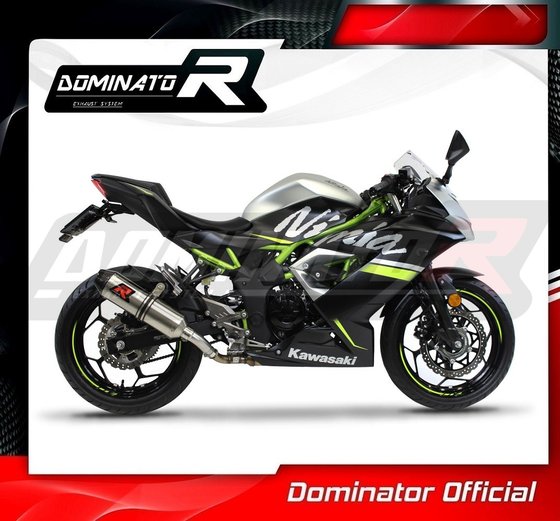 KA071DF-S Dominator exhaust silencer hp3