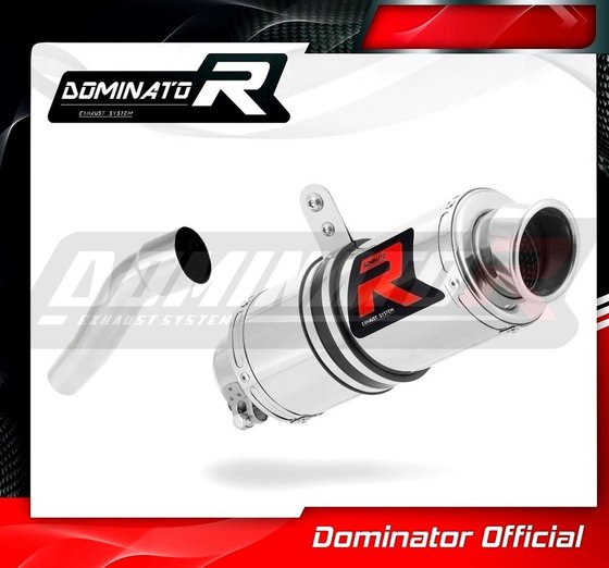 AP003DC-S Dominator exhaust silencer gp1