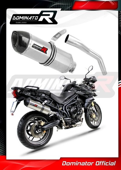 TR008DF-S Dominator exhaust silencer hp1