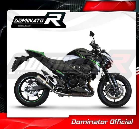 KA054DC-S Dominator exhaust silencer muffler gps