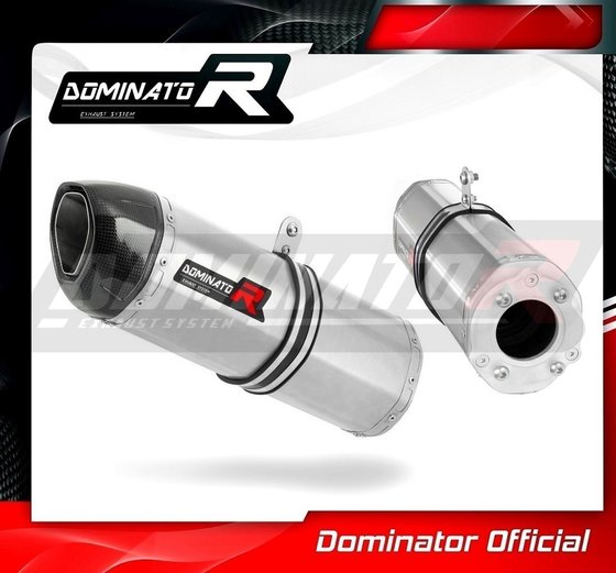 SU076DF-S Dominator exhaust silencer hp1