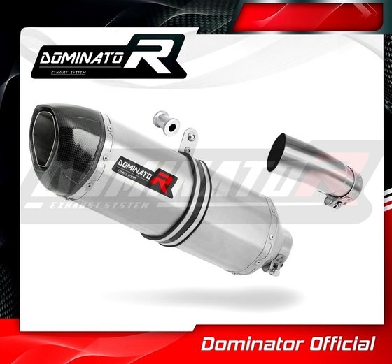 KA062DF-S Dominator exhaust silencer hp1