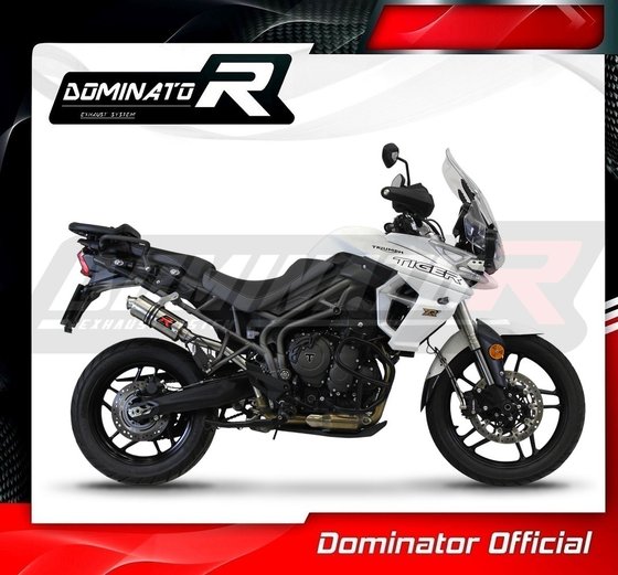 TR020DC-S Dominator exhaust silencer gp1