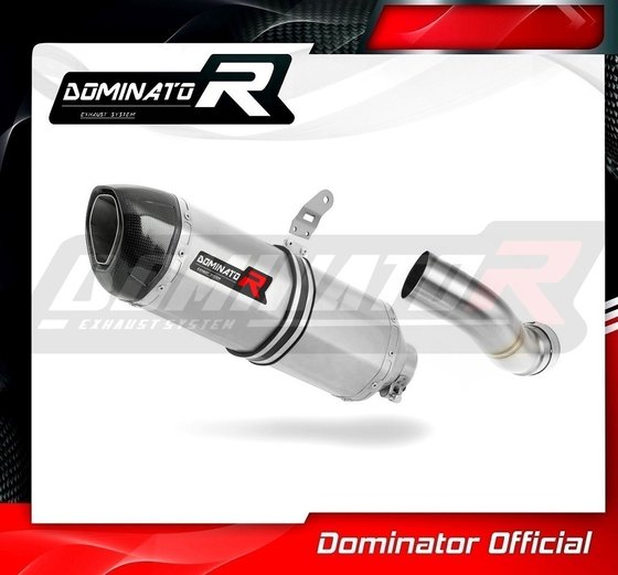 KA072DF-S Dominator exhaust silencer hp1