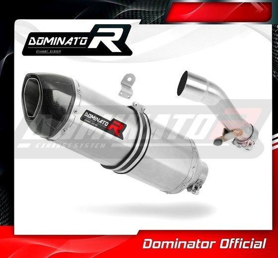 HO072DF-S Dominator exhaust silencer hp1