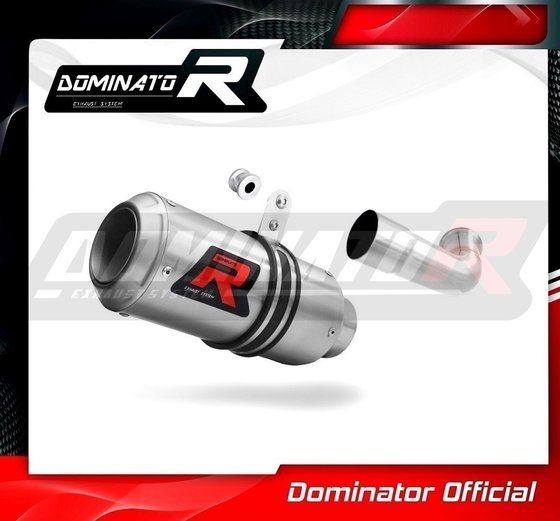 KT060DC-S Dominator exhaust silencer gp