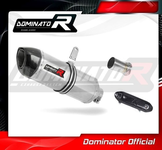 KT018DF-S Dominator exhaust silencer hp1