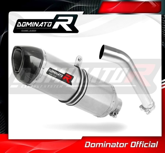 BW096DF-S Dominator exhaust silencer muffler hp1