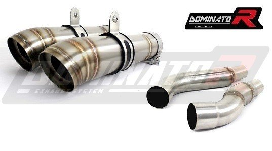 TR006DD-S Dominator exhaust silencer gp2