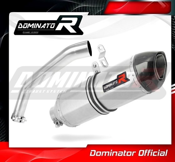 YA071DF Dominator exhaust silencer hp1