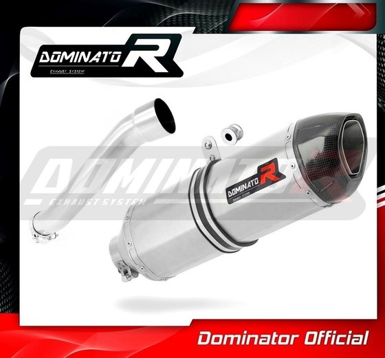 YA033DF-S Dominator exhaust silencer hp1