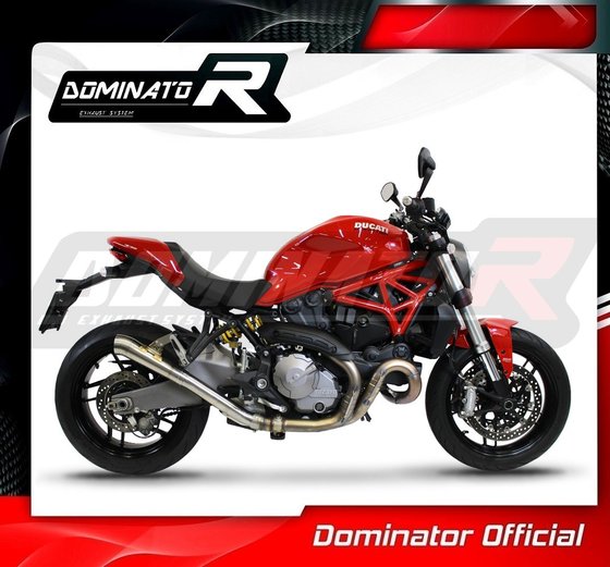 DU023DD-S Dominator exhaust silencer gp2