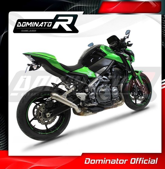 KA055DD-S Dominator exhaust silencer gp2