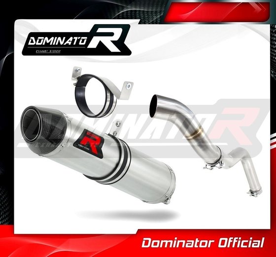 HO038DF-S Dominator exhaust silencer hp2