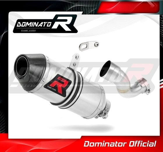 HO059DF-S Dominator exhaust silencer hp3