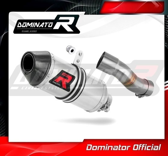 SU100DF-S Dominator exhaust silencer hp3