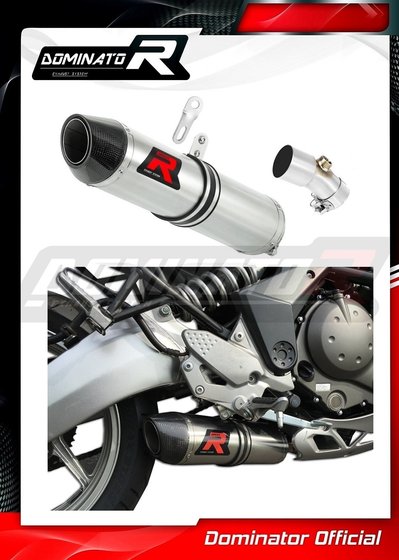 KA010DF-S Dominator exhaust silencer hp2