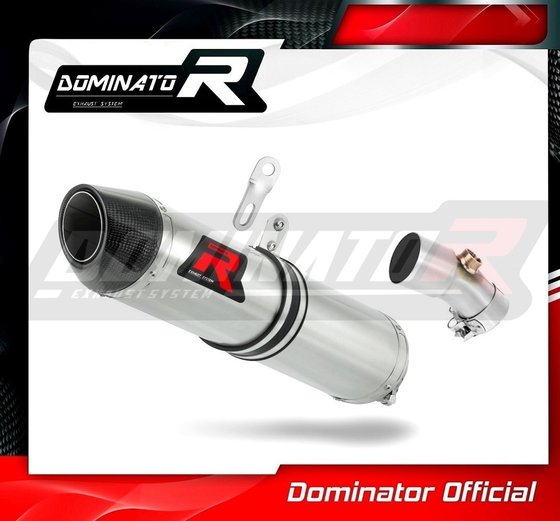 KA010DF-S Dominator exhaust silencer hp2