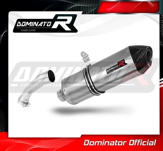 BW110DF7-S Dominator exhaust silencer muffler hp7