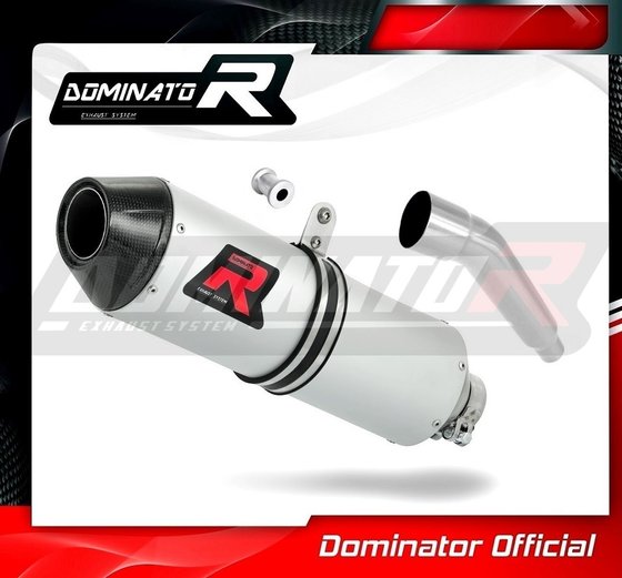 YA064DE-S Dominator exhaust silencer mx2