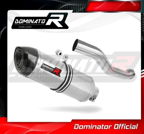 YA006DF-H Dominator homologated exhaust silencer hp1