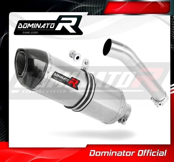 YA012DF-H Dominator homologated exhaust silencer hp1