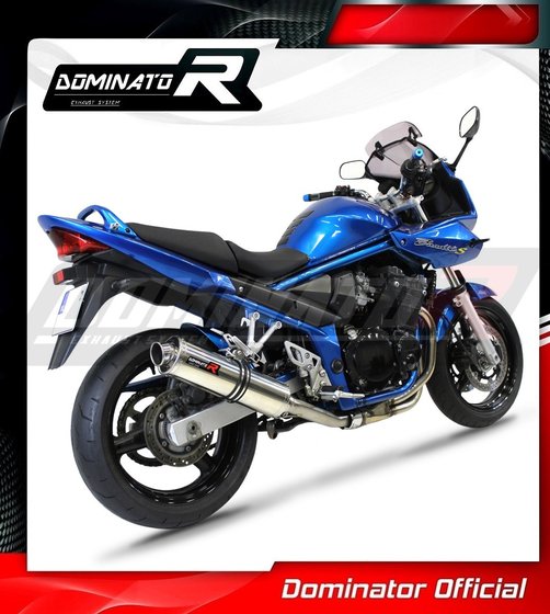 SU031DST-H Dominator homologated exhaust silencer round