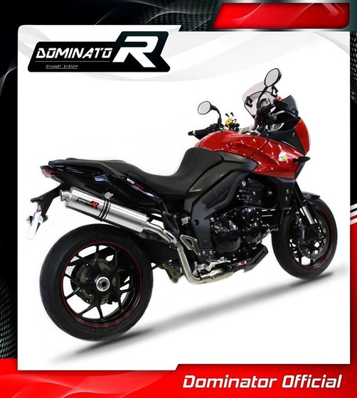 TR014DST-S Dominator exhaust silencer round