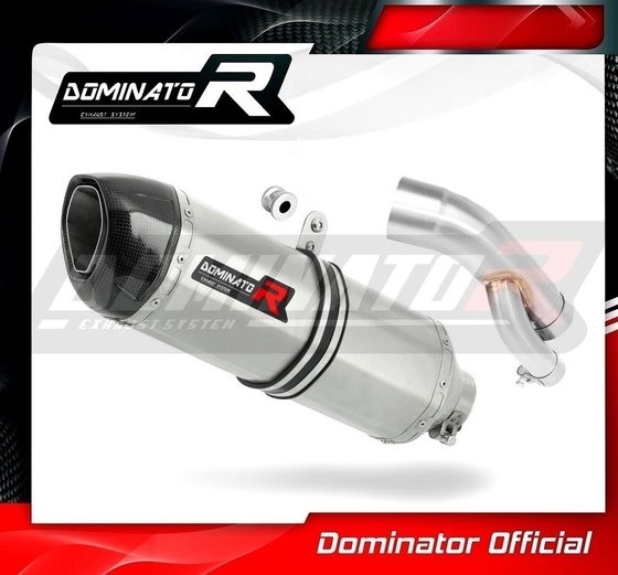 BW094DF-H Dominator homologated exhaust silencer hp1