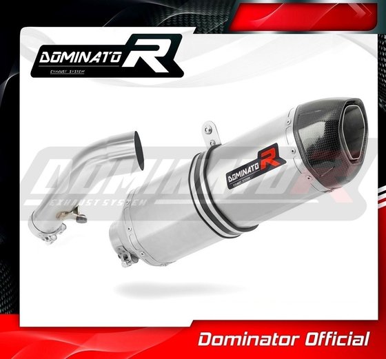 BW032DF-H Dominator homologated exhaust silencer hp1